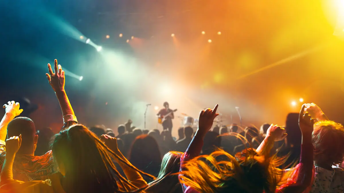Concert crowd enjoying live music performance.
