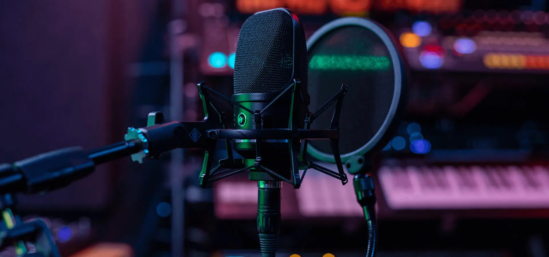 Recording studio microphone with pop filter.